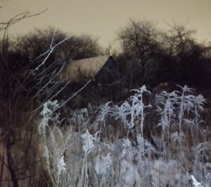 Policyjna interwencja podczas mrozów. 43-latek trafił do szpitala